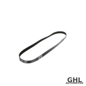 PAI 050471 Serpentine Belt OEM 3911558