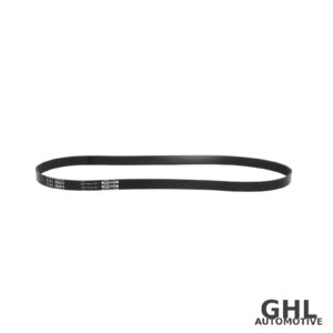 PAI 050474 Serpentine Belt OEM 3911573