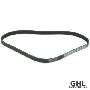 PAI 050488 Serpentine Belt OEM 3076492
