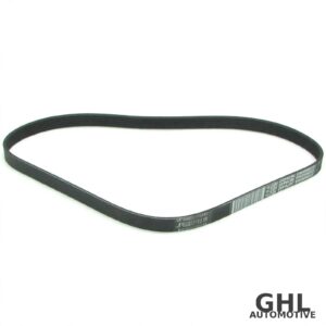 PAI 050488 Serpentine Belt — PAI 050488