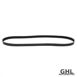 PAI 050489 Serpentine Belt OEM 3911567