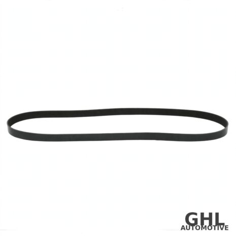 PAI 050489 Serpentine Belt — PAI 050489