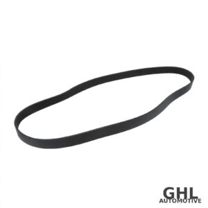 PAI 050490 Serpentine Belt OEM 3911560