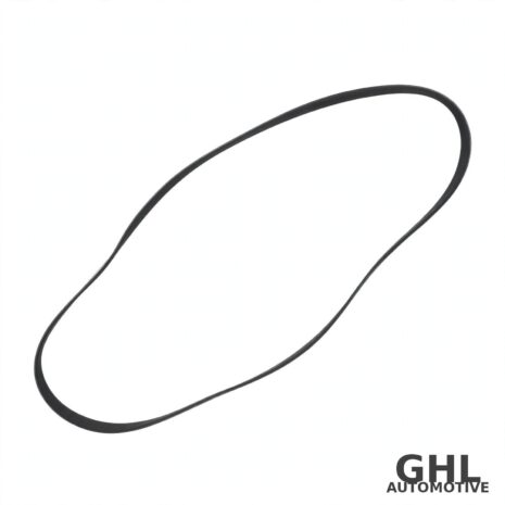 PAI 050490 Serpentine Belt — PAI 050490