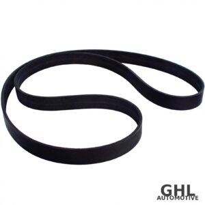 PAI 050491 Serpentine Belt OEM 3911583