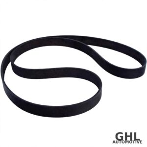 PAI 050491 Serpentine Belt — PAI 050491