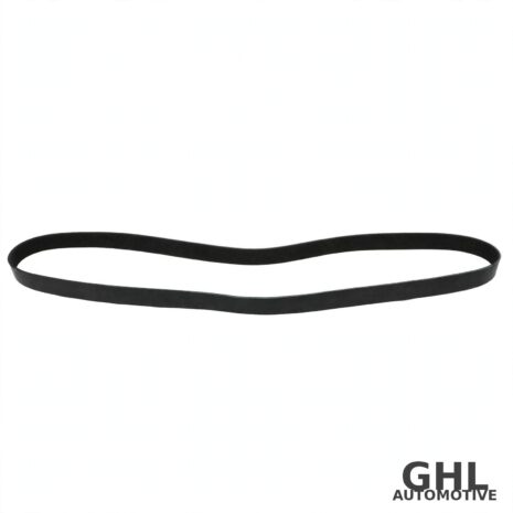 PAI 050494 Serpentine Belt — PAI 050494