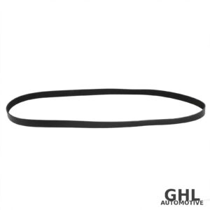 PAI 050495 Serpentine Belt OEM 3911582