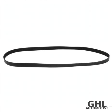PAI 050495 Serpentine Belt — PAI 050495