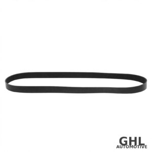 PAI 050496 Serpentine Belt OEM 3911587