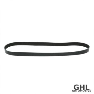 PAI 050497 Serpentine Belt OEM 3911557