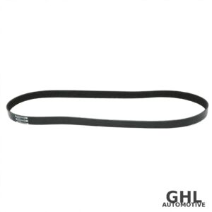 PAI 050498 Serpentine Belt OEM 3911563