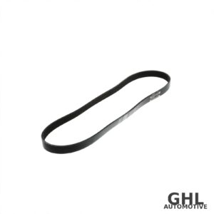 PAI 050499 Serpentine Belt OEM 3095880 - Cummins