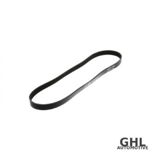 PAI 050499 Serpentine Belt OEM 3095880