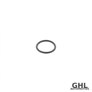 PAI 121205 O-Ring 5-Pack — Cummins