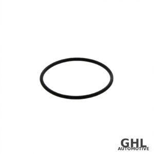 PAI 121385 O-Ring 4-Pack — Cummins