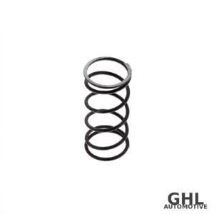 PAI 141338OEM Cooler Relief Spring OEM 3039296 - Cummins