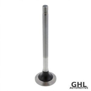 PAI 191955 Exhaust Valve OEM 145701 - Cummins - 2-PACK