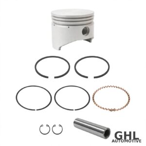 PAI 220015 Piston Kit OEM 3803931 - Mack & Volvo