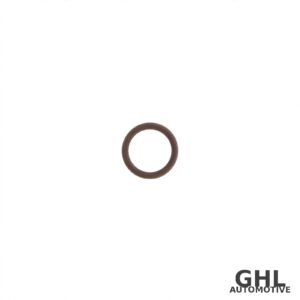 PAI O-Ring 321251 - Mack MP7/MP8, Volvo D11/D13 - 10-PACK