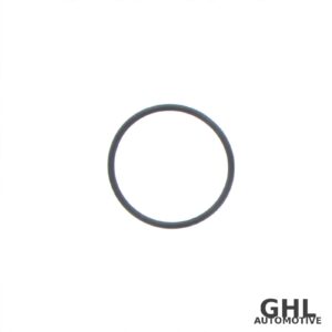 PAI O-Ring 421235 - Volvo D12 - 10-PACK