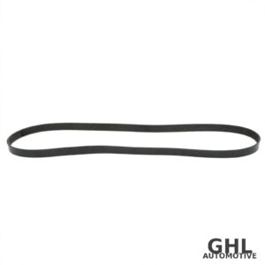 PAI 450480 Serpentine Belt OEM 1819391C1