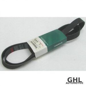 PAI 450481 Serpentine Belt OEM 1841559C1