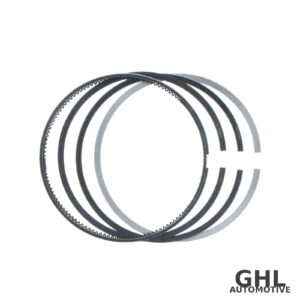 PAI 505025 Piston Ring Set OEM 3803471 - Cummins