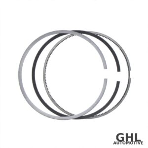 PAI 505057 Piston Ring Set — Cummins N14 Series