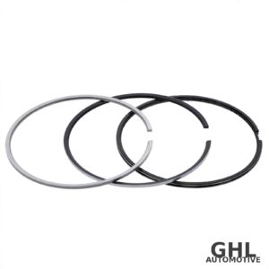 PAI 505060 Piston Ring Set — Cummins L10 / M11 / ISM / QSM Series