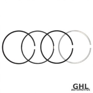 PAI 505070 Piston Ring Set OEM 4089810 - Cummins