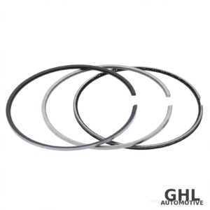 PAI 505099E Piston Ring Set (EXCEL) — Cummins Engine L10/M11/ISM