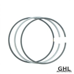 PAI 505099 Piston Ring Set — Cummins L10 / M11 / ISM / QSM Series