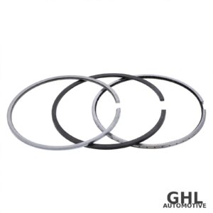 PAI 505173 Piston Ring Set — Cummins