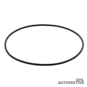 PAI 621252 O-Ring (ISX15) - 10-PACK — Cummins ISX Series