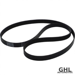 PAI 741411 Serpentine Belt OEM 01-29866-094