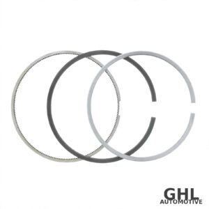 PAI Piston Ring Set 805046 - Volvo D12
