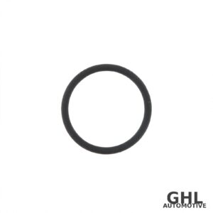 PAI 821013 O-RING, Injector Sleeve (Pack of 6) – Volvo D11/D13