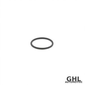 PAI O-Ring 821013 - Volvo D12 - 6-PACK
