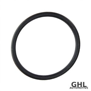 PAI O-Ring 821032 - Mack MP7/MP8, Volvo D11/D13 - 6-PACK