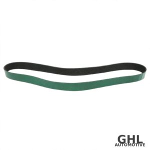 PAI 880865 Belt Serpentine OEM 20582557