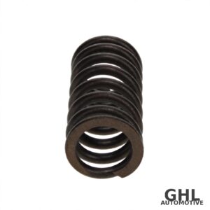 PAI Outer Valve Spring 892000 - Mack MP7/MP8, Volvo D11/D13 - 6-PACK