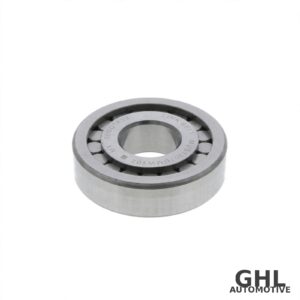 PAI BBG-6167 Bearing — Differential
