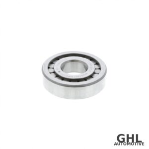 PAI BBG-6169 Bearing — Differential