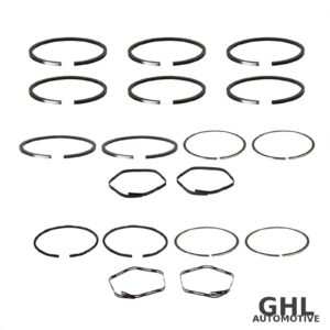 PAI DRS-4050-STD Air Compressor Ring Set OEM 225514 - Mack & Volvo
