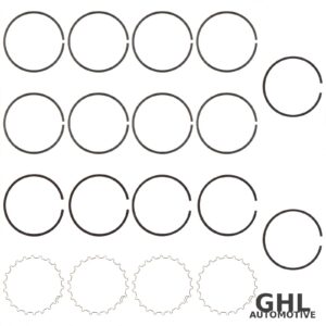 PAI DRS-4055-010 Air Compressor Ring Set OEM 107640 - Mack & Volvo