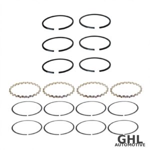 PAI DRS-4055-020 Air Compressor Ring Set OEM 107641 - Mack & Volvo