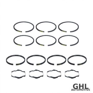 PAI DRS-4312-010 Air Compressor Ring Set OEM 745-106106 - Mack & Volvo