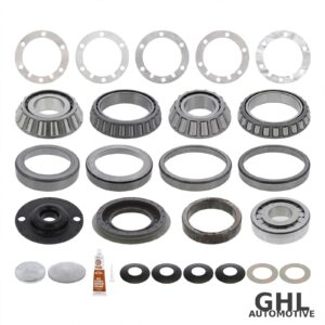 PAI EE71020 Bearing and Seal Kit (RD) — Eaton RD/RS 461, 521, 581 Differential