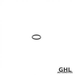PAI EGA-3062 O-Ring 25-Pack — Cummins